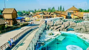 Посетители смотрят на моржей в Зоопарке Удмуртии