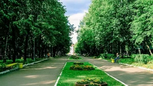 Аллея с деревьями и клумбами в парке