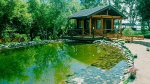Фэмили парк фото