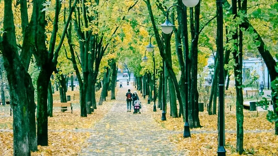 Люди гуляют по аллее на бульваре Гоголя