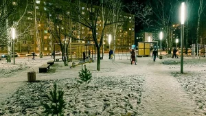 Сквер им. Василия Тарасова фото
