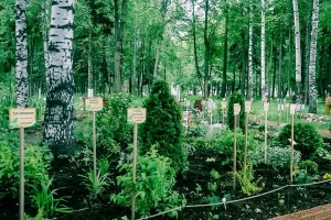 Парк Космонавтов в Ижевске фото