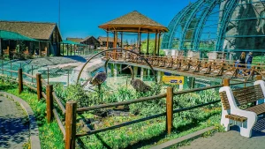 Птицы в вольере у стеклянного купола в Зоопарке Удмуртии