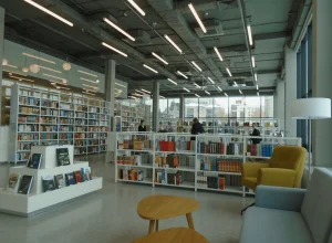 Книги в библиотеке