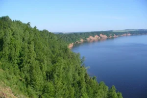 Лесистый берег реки в Нечкинском национальном парке