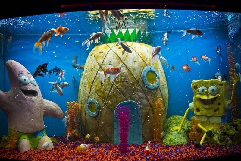 Аквариум с рыбами и фигурами из мультфильма в «Ocean Park» в Краснодаре