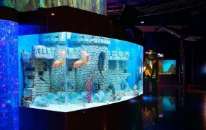 Аквариум с рыбами и декорациями в океанариуме «Ocean Park»