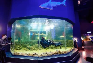 Дайвер в аквариуме с рыбами в океанариуме «Ocean Park»