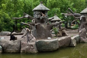 Лемуры на дереве в сафари-парке