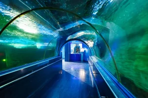 Океанариум «Ocean Park» — фото 2