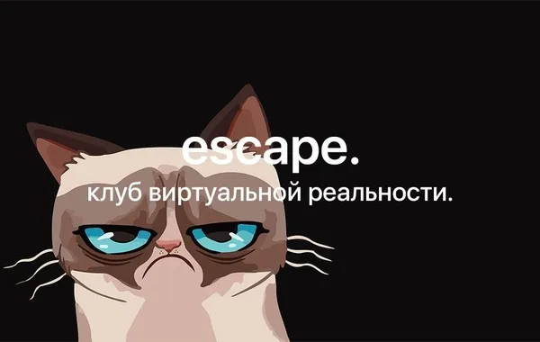 Сердитый кот